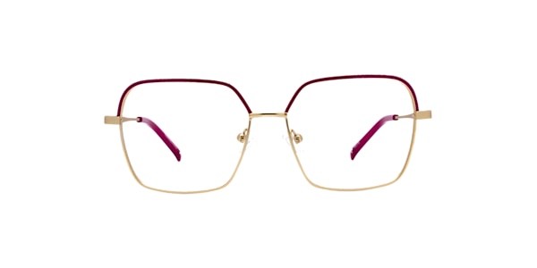 Clearly Glasses ERINOME
