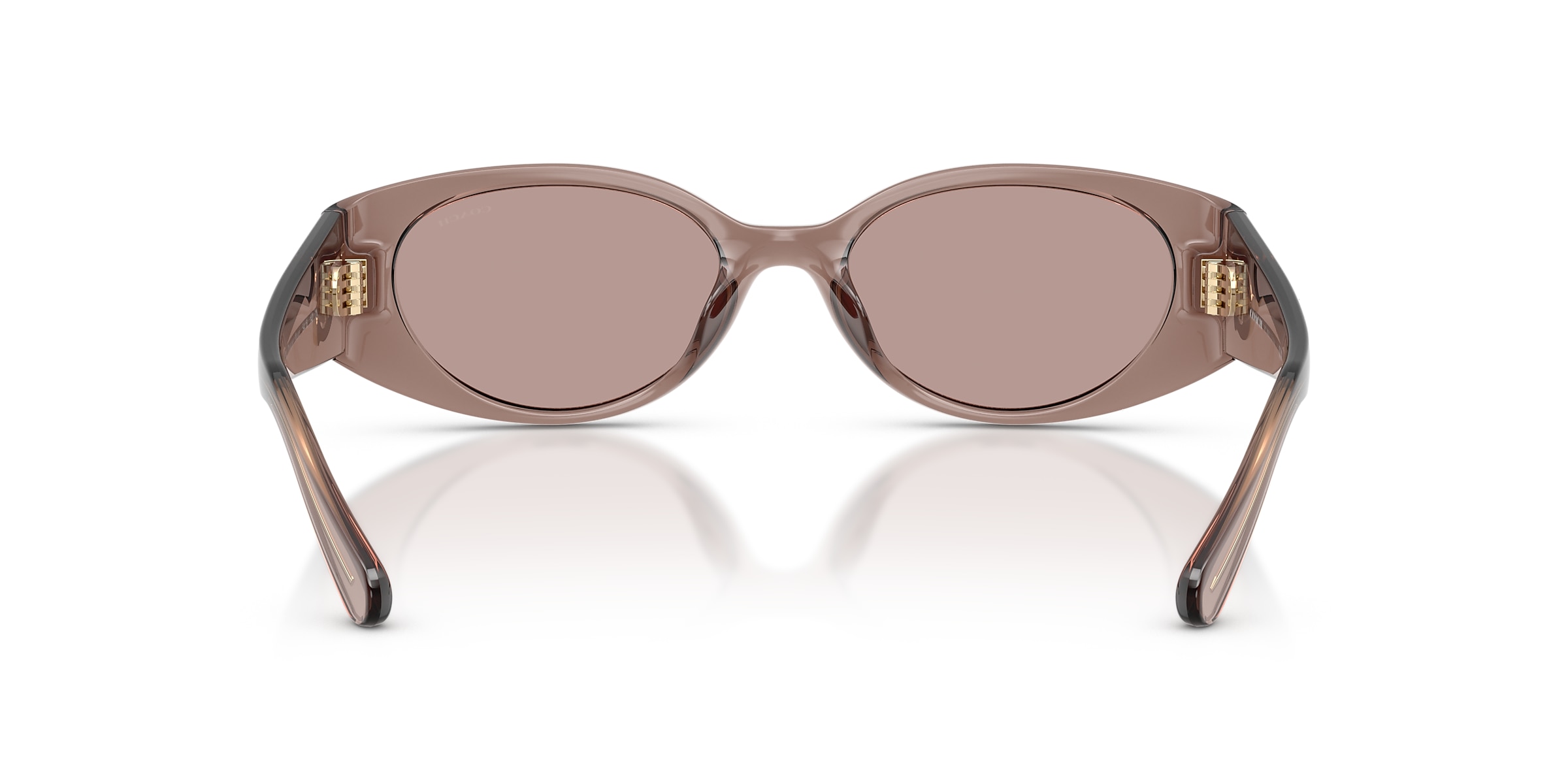 Coach Sunglasses HC8462U CFU06