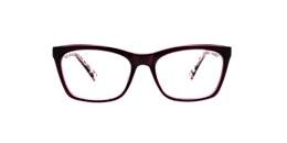 Clearly Glasses PICKLE LAKE