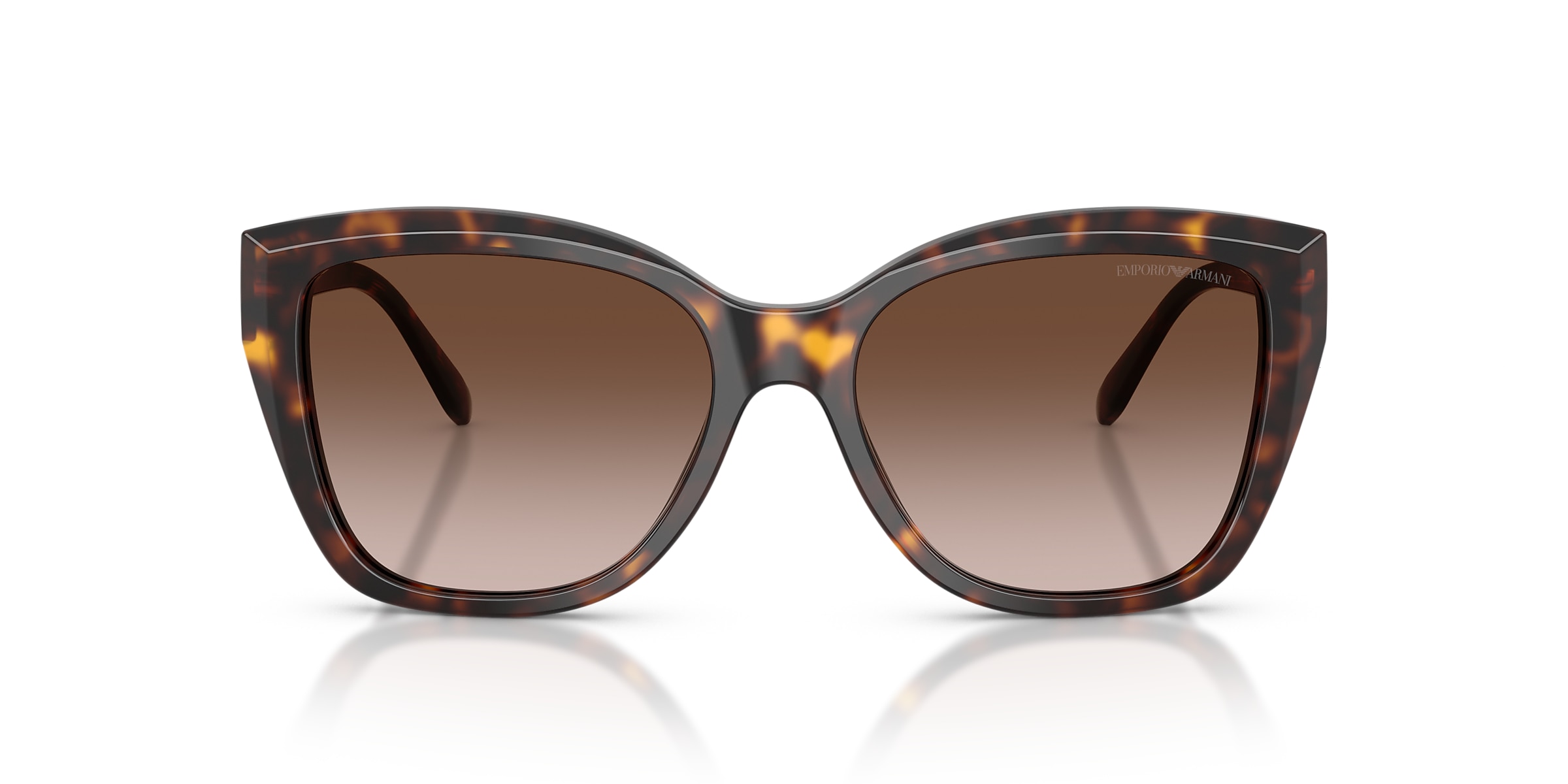 Emporio Armani Sunglasses EA4198