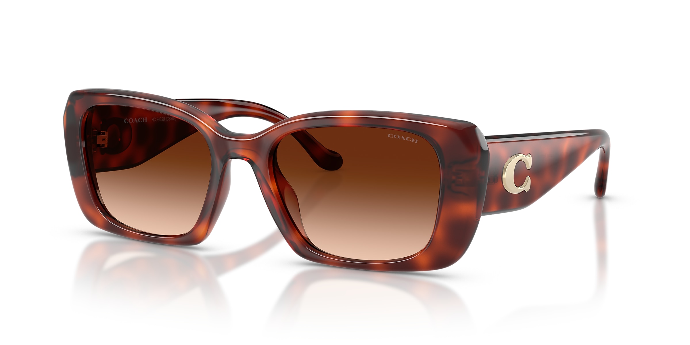 Coach Sunglasses HC8435U CBY82