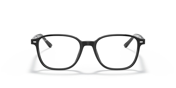 RB5393 LEONARD OPTICS