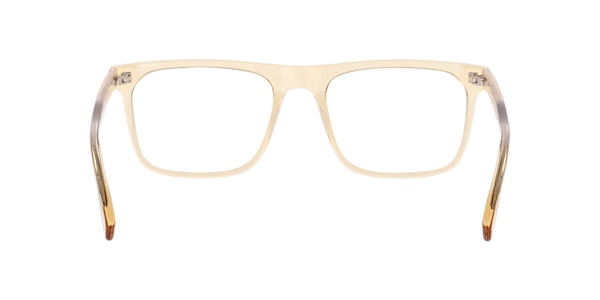 Clearly Glasses DARCY