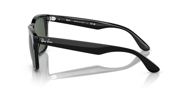 Ray-Ban Sunglasses RB4487 STEVE