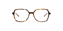 Clearly Glasses CYLLENE
