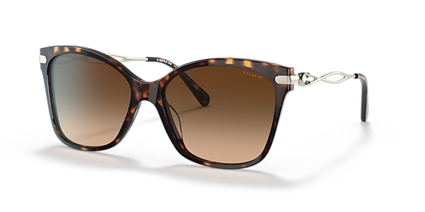 Coach Sunglasses HC8316 C3446
