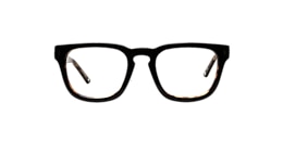 Clearly Glasses POPLAR
