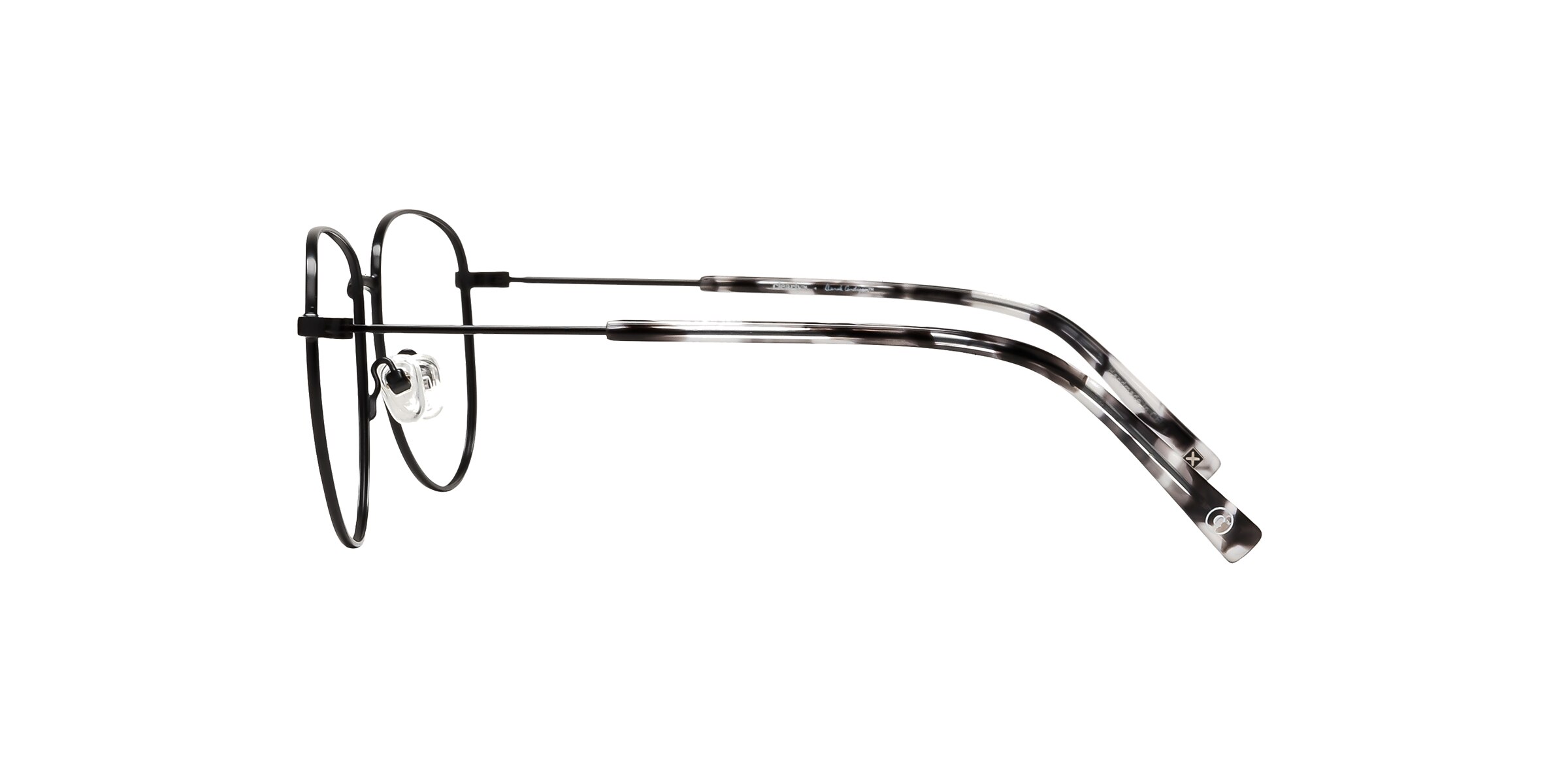 Clearly Glasses PALM