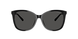 Coach Sunglasses HC8271U L1101