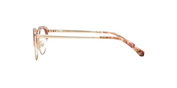 Clearly Glasses ROMY