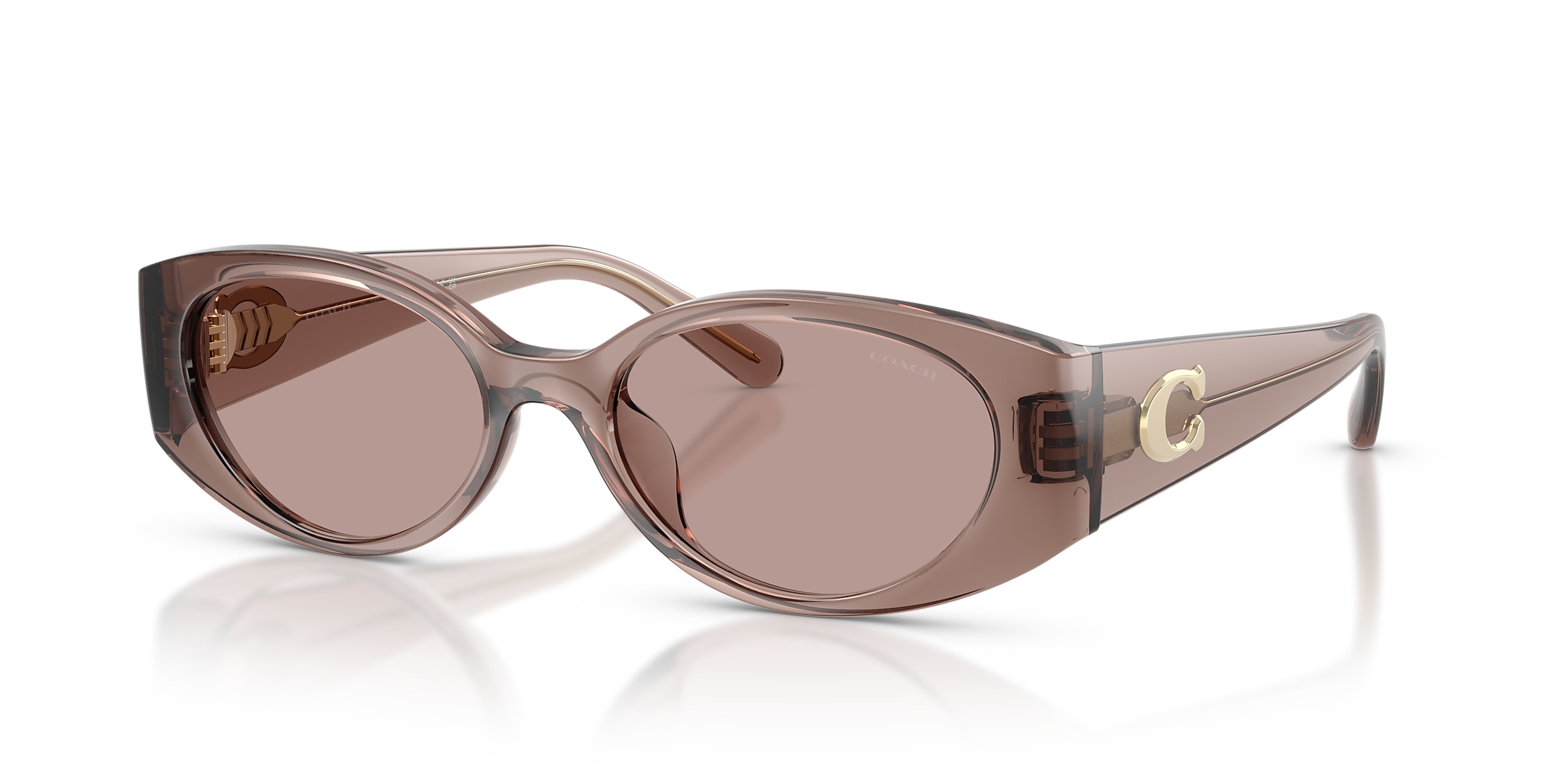 Coach Sunglasses HC8462U CFU06