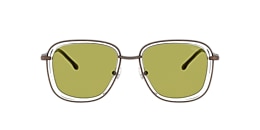 Diesel Sunglasses DL1017