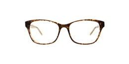 Clearly Glasses PRAHRAN