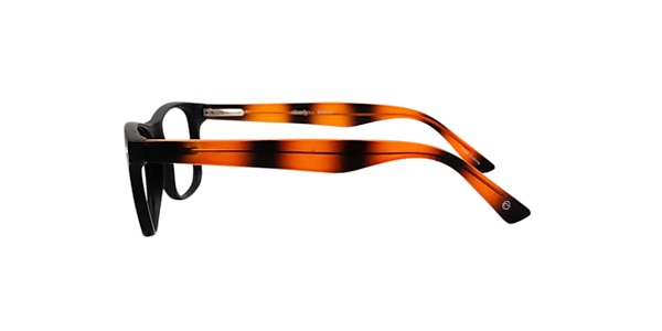 Clearly Glasses SHAUNAVON