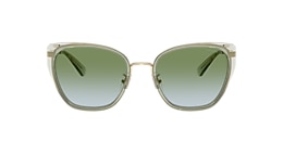 Coach Sunglasses HC7187 CDP56