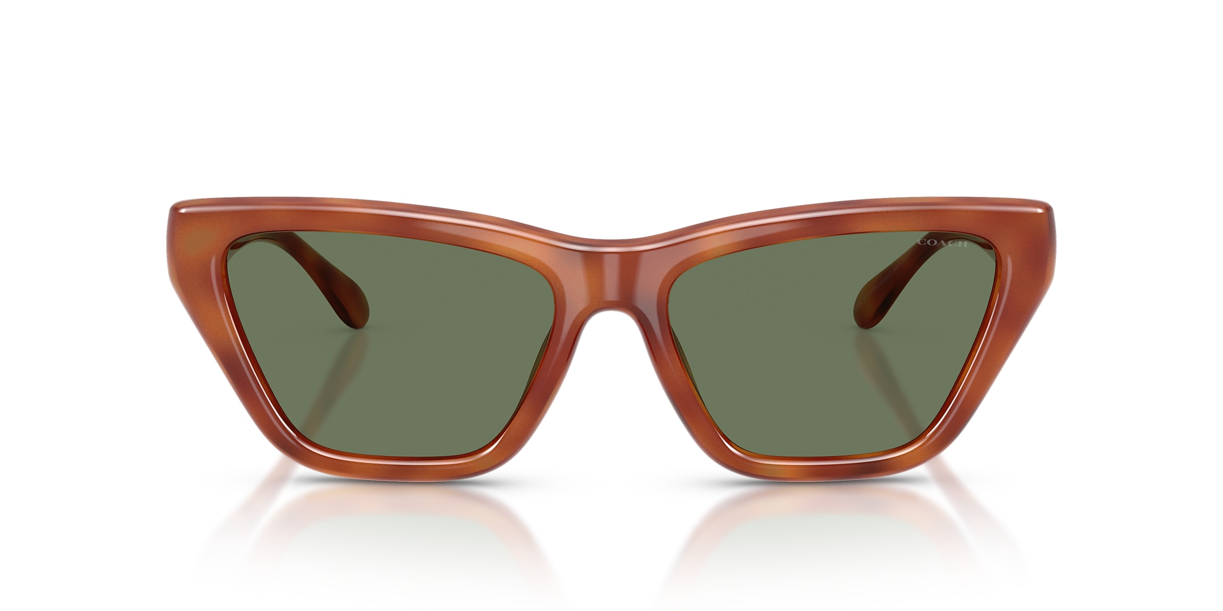 Coach Sunglasses HC8449U CDP33