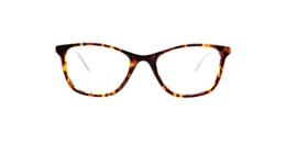 Clearly Glasses SAGITTA