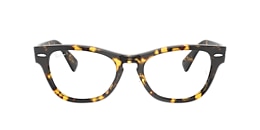 Ray-Ban Glasses RB2201V LARAMIE OPTICS