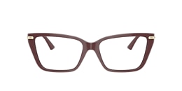 Jimmy Choo Glasses JC3002B
