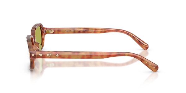 Coach Sunglasses HC8465U CFU11
