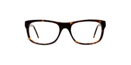 Clearly Glasses SEQUOIA