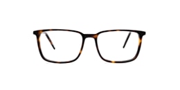 Clearly Glasses BIRCH