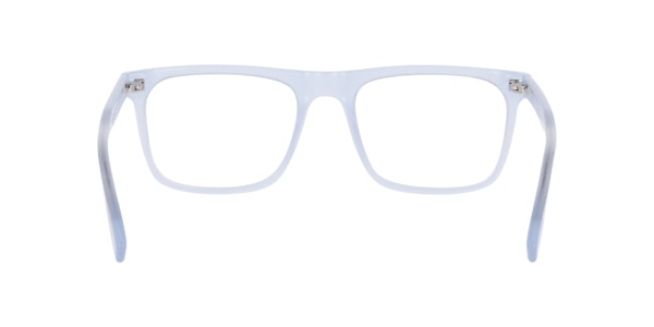 Clearly Glasses DARCY
