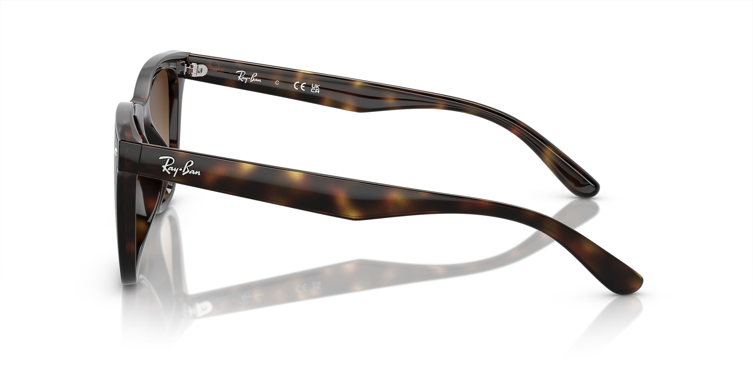Ray-Ban Sunglasses RB4420