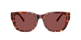 Diesel Sunglasses DL2005