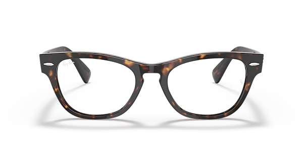 Ray-Ban Glasses RB2201V LARAMIE OPTICS