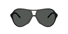 Diesel Sunglasses DL2013U