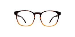 Clearly Glasses CRANE