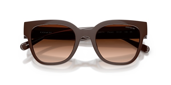 Coach Sunglasses HC8460U CFT88