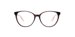 Clearly Glasses SPRUCE