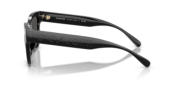 Coach Sunglasses HC8460U CFT88