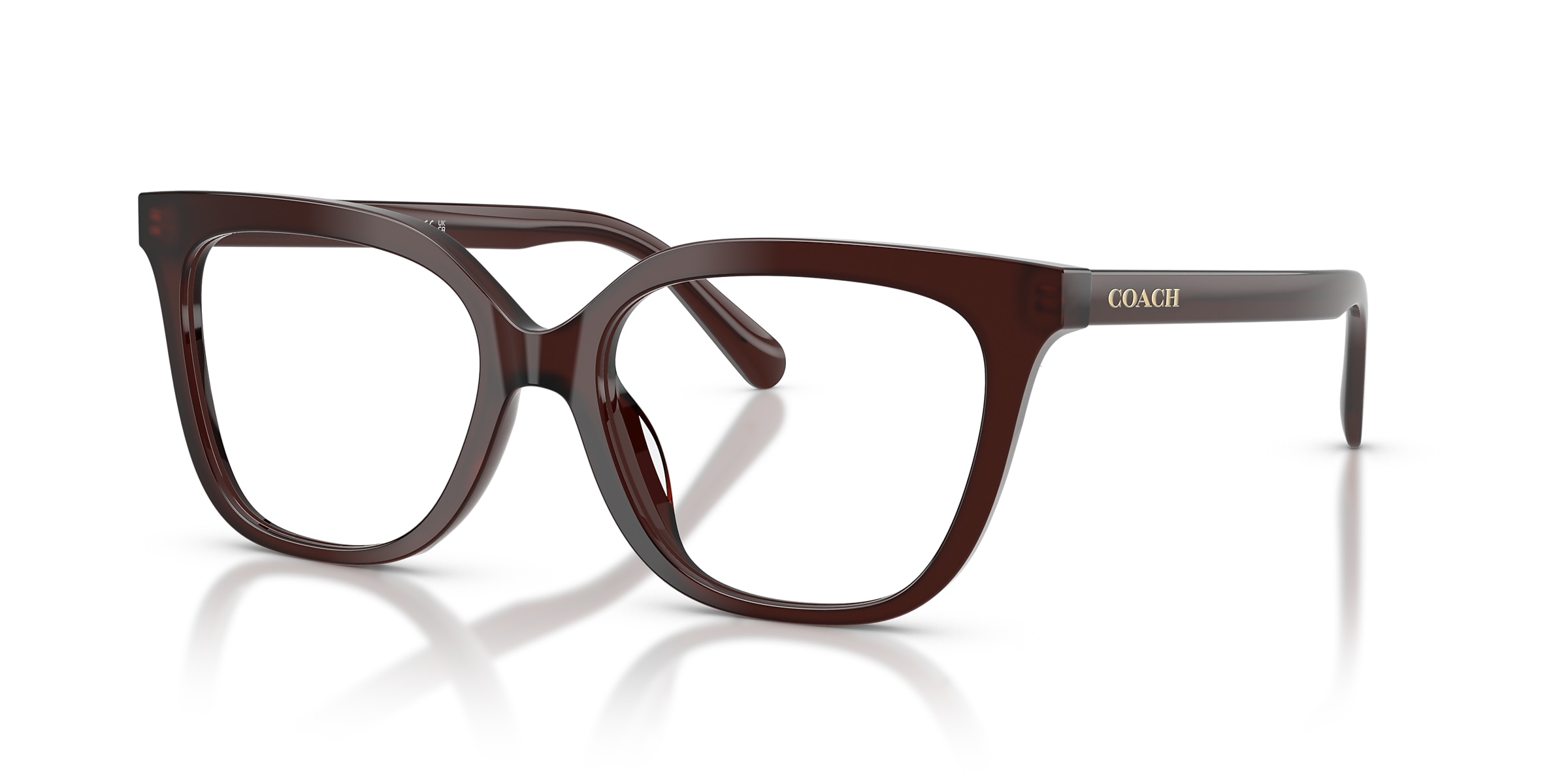Coach Glasses HC6302U