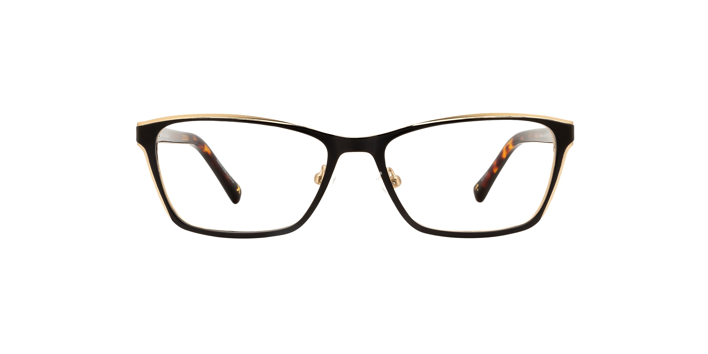 Clearly Glasses DELPHINUS