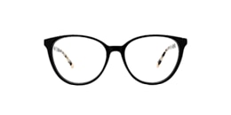 Clearly Glasses SPRUCE