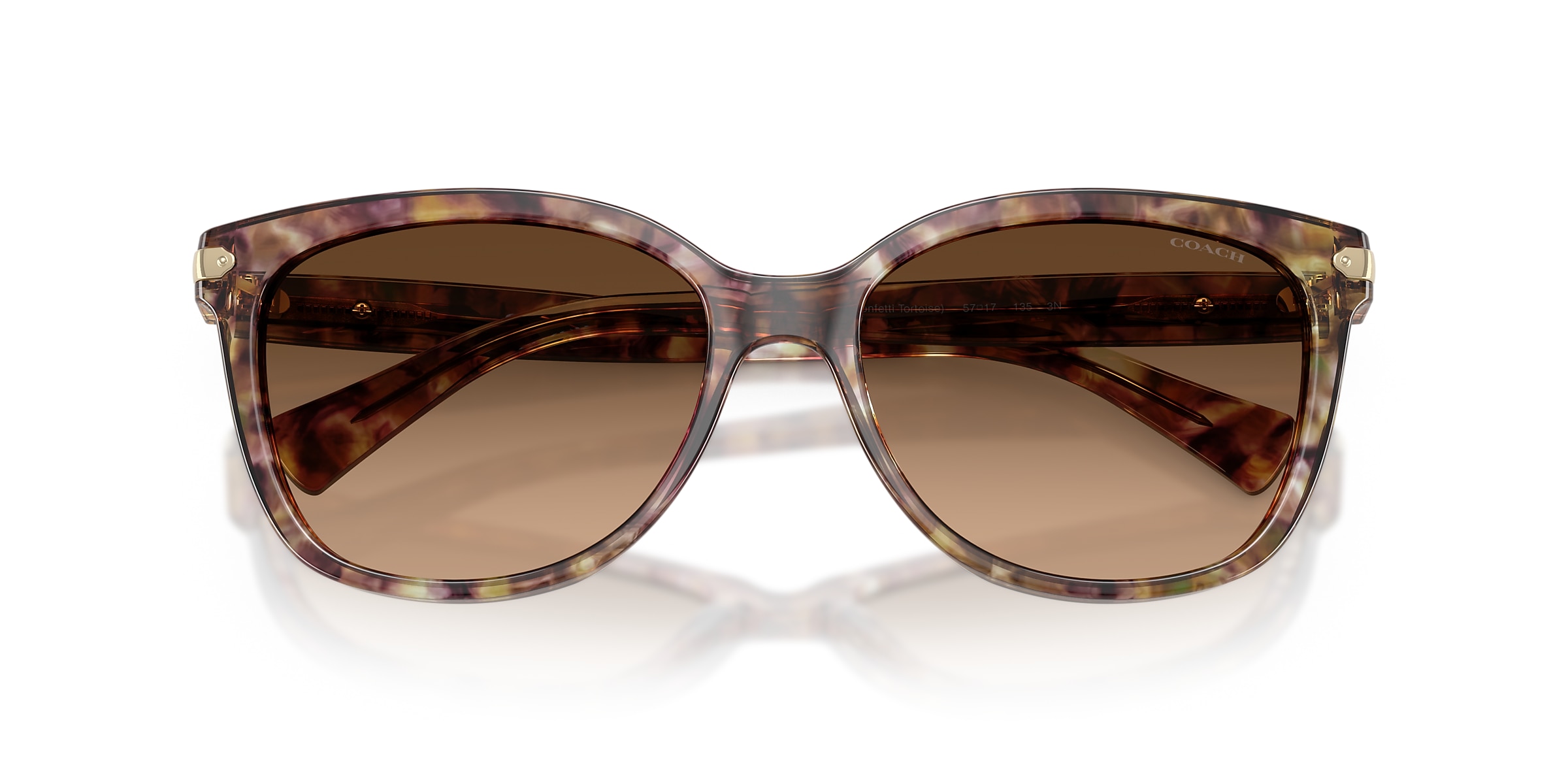 Coach Sunglasses HC8132 L109
