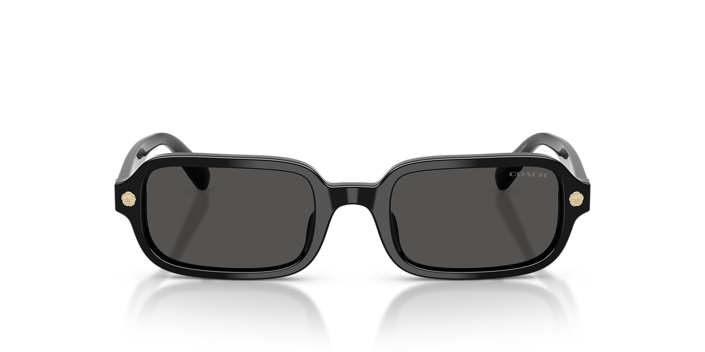 Coach Sunglasses HC8465U CFU11