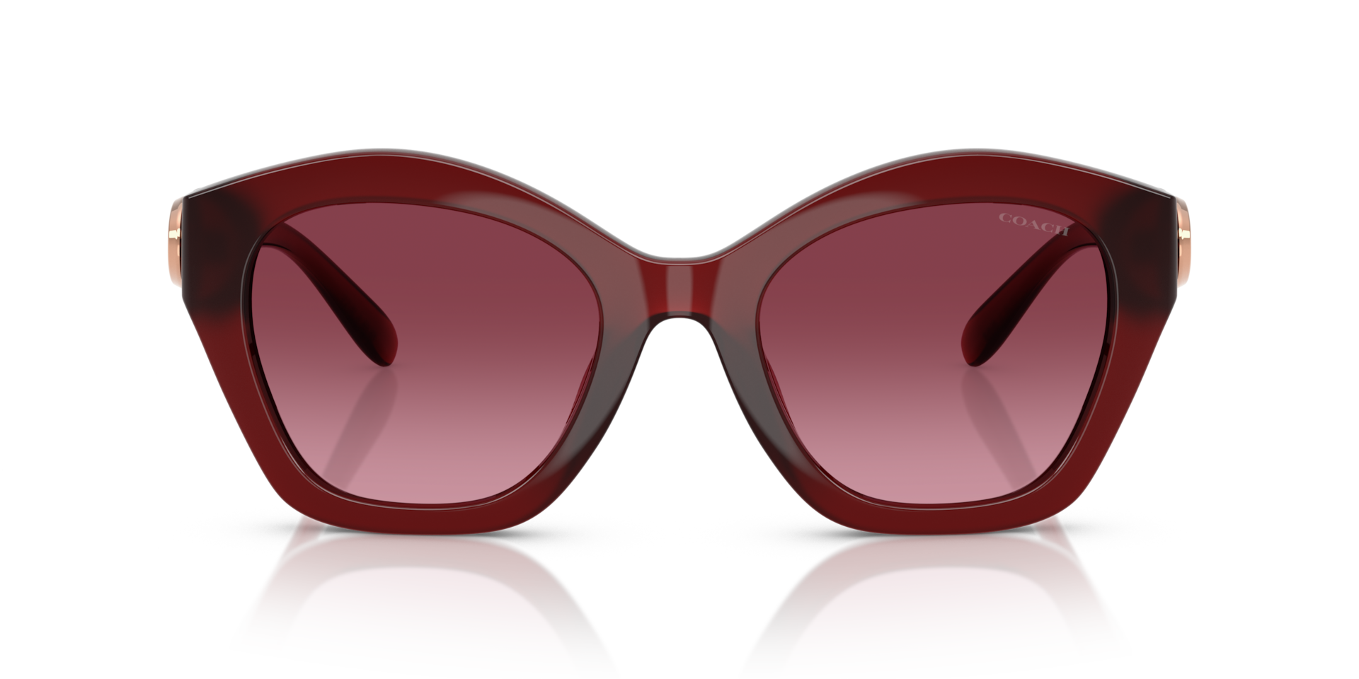 Coach HC8421U CAD31 Sunglasses | Clearly