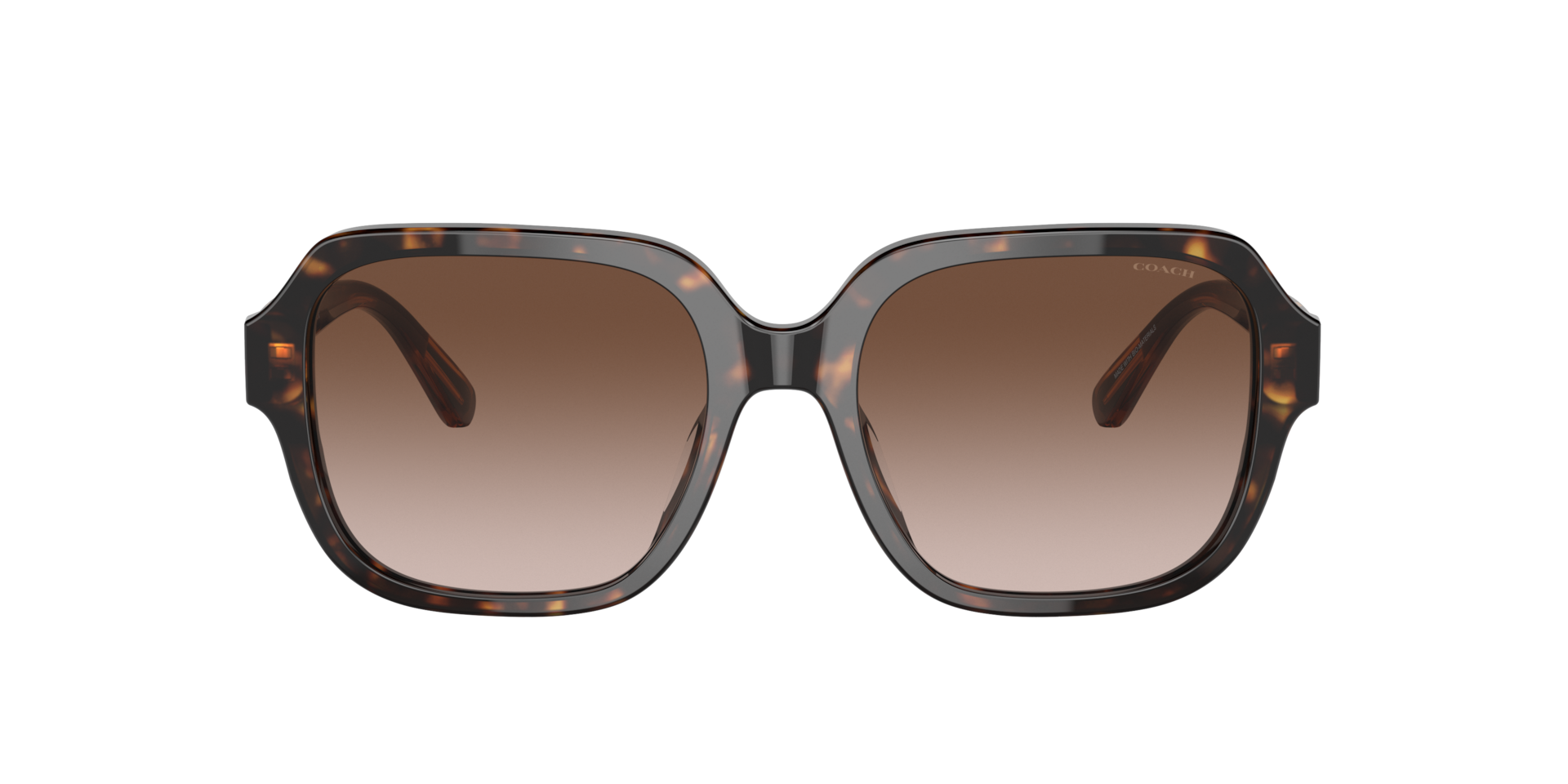 Coach HC8335U C7989 Sunglasses | Clearly
