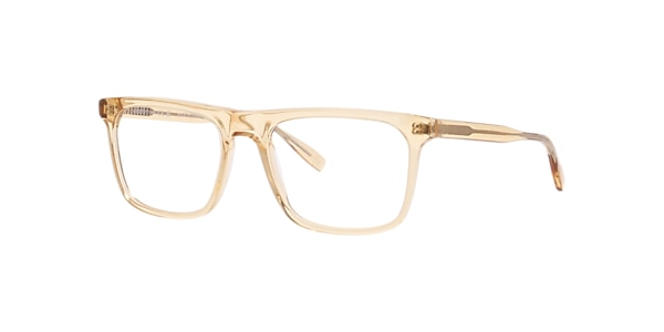 Clearly Glasses DARCY