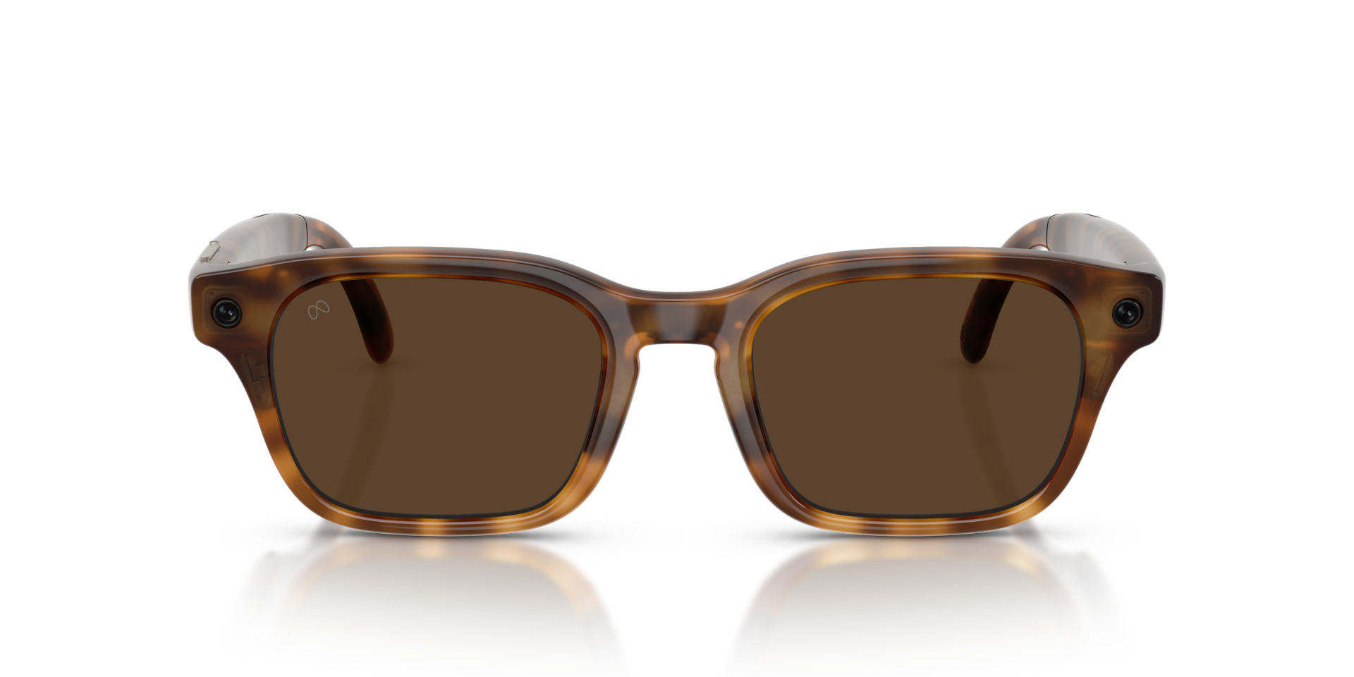 Meta Adventurer Large Classic Tortoise Brown Lenses