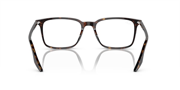 RB5421 OPTICS