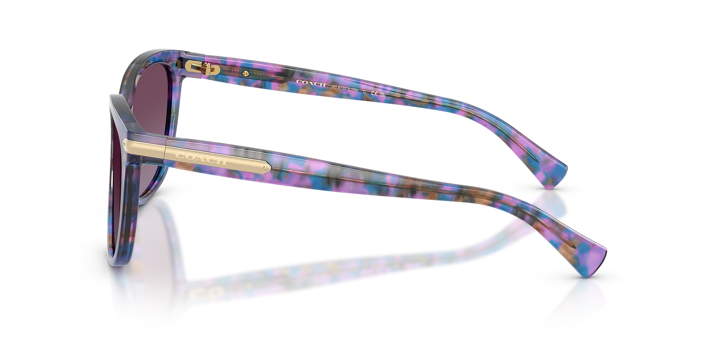 Coach Sunglasses HC8132 L109
