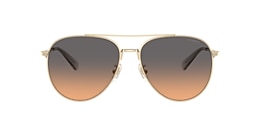 Coach Sunglasses HC7169 CW193