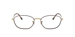 Ray-Ban Glasses RB3749V OPTICS