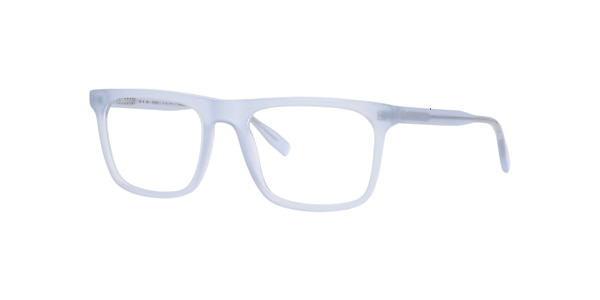 Clearly Glasses DARCY