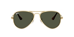 Ray-Ban Sunglasses RB3925 AVIATOR MAX